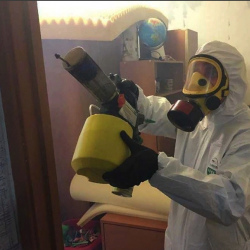 Уничтожение клопов в квартире. Суздаль